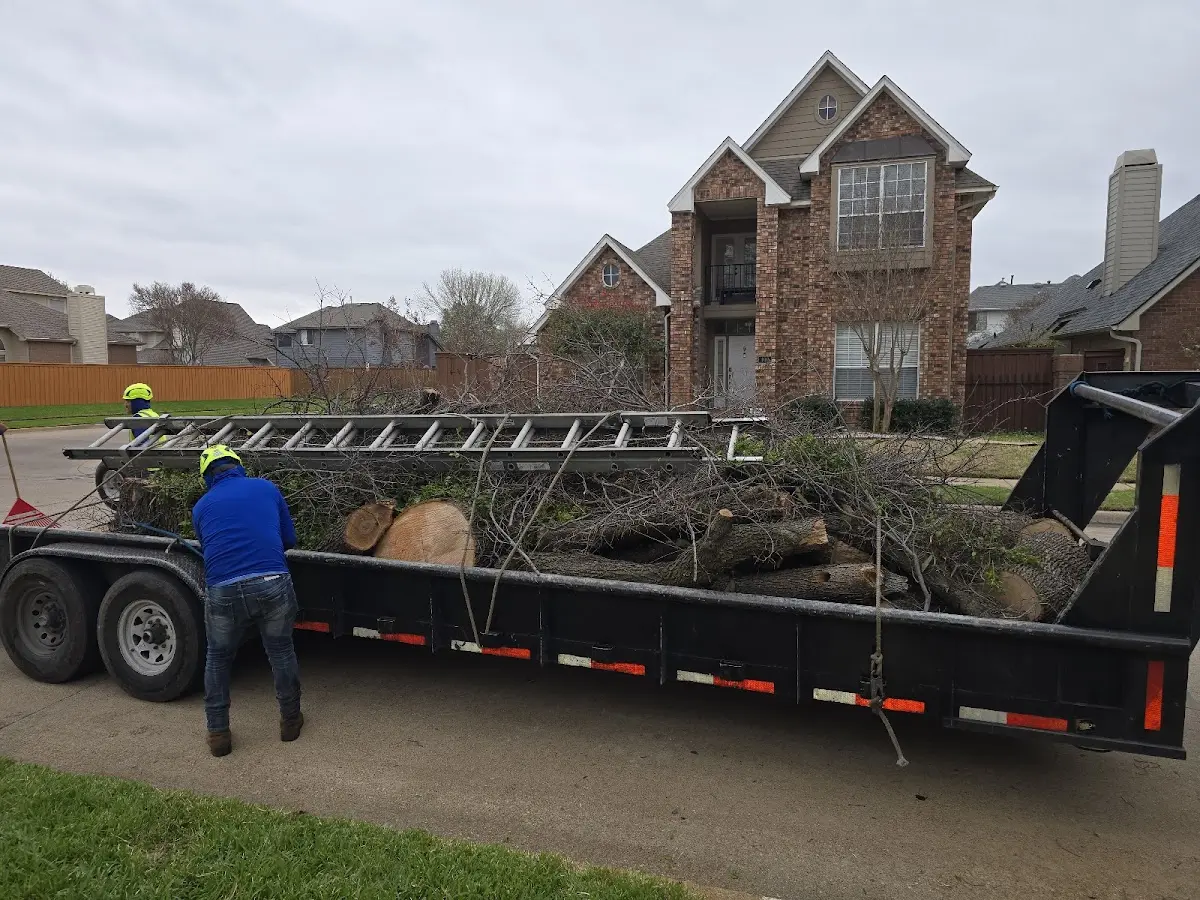 Expert Lot Clearing with proper safety equipment in Kansas City